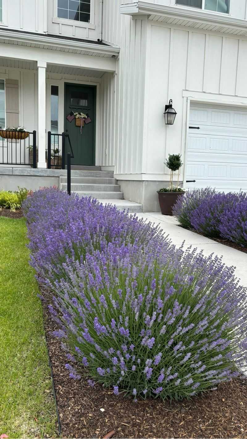 Drainage advice does not erase Southern climate differences