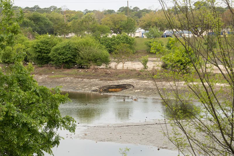 Drainage features can bring feeding close to home