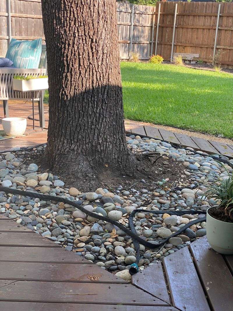 Drought tolerance does not mean zero water