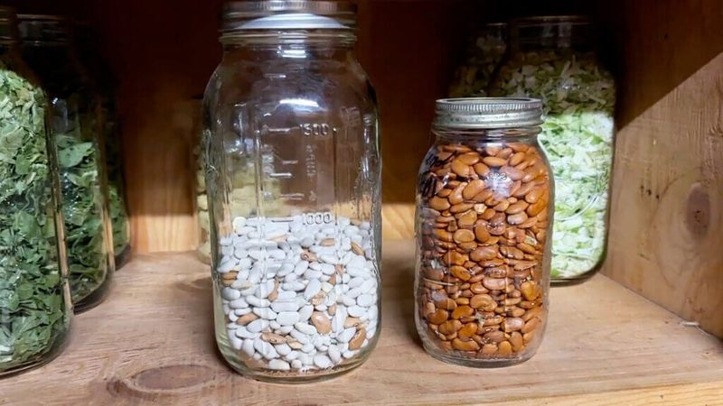 Dry and store seed only when it is completely dry