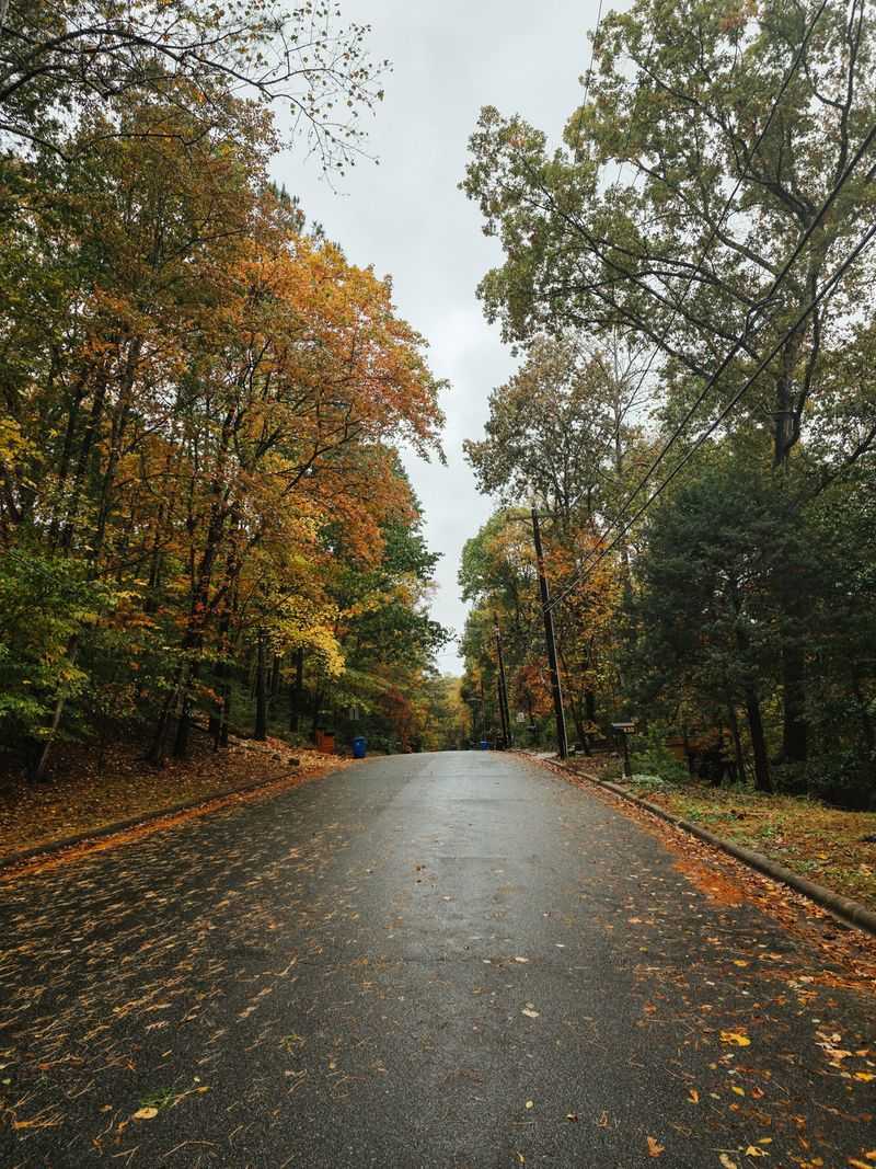 Eastern North Carolina has a local fall planting window