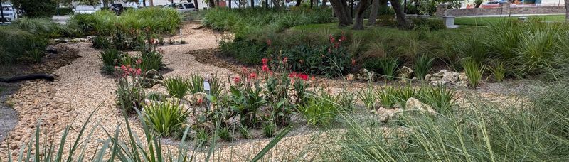 Everyday yard choices can reduce runoff pollution
