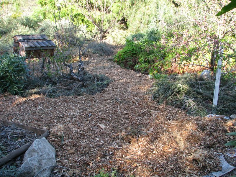 Expect gradual improvement to the path soil, not instant crop feeding