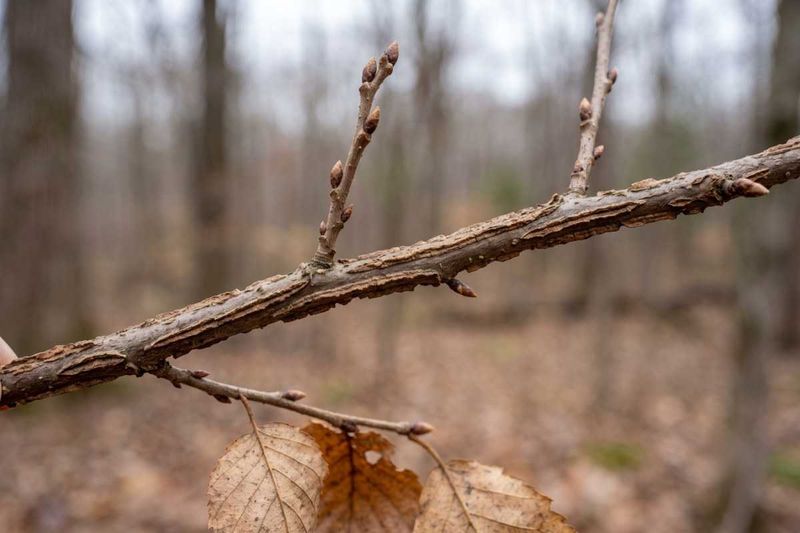 Expect seasonal drop, even with comparatively low litter