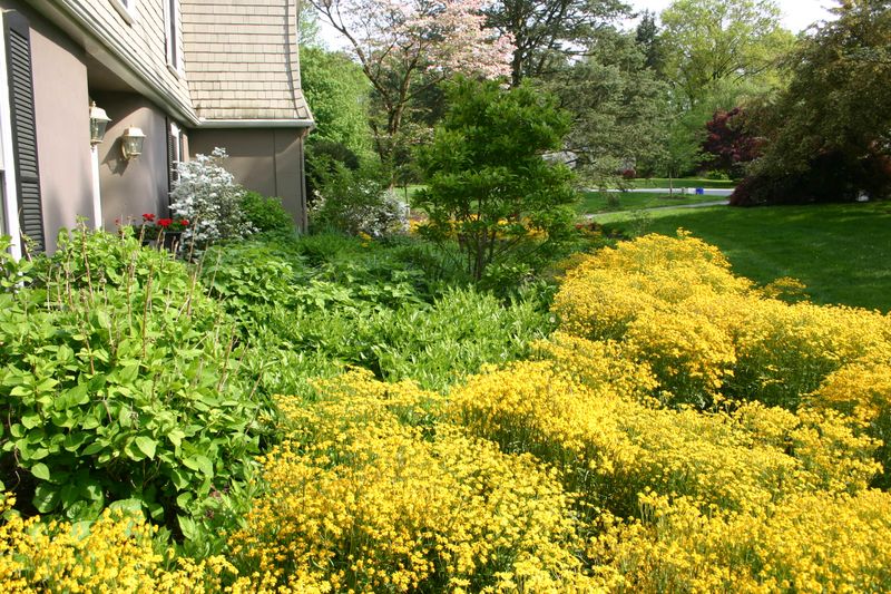 Expect seasonal flowers and gradual groundcover growth Expect seasonal flowers and gradual groundcover growth