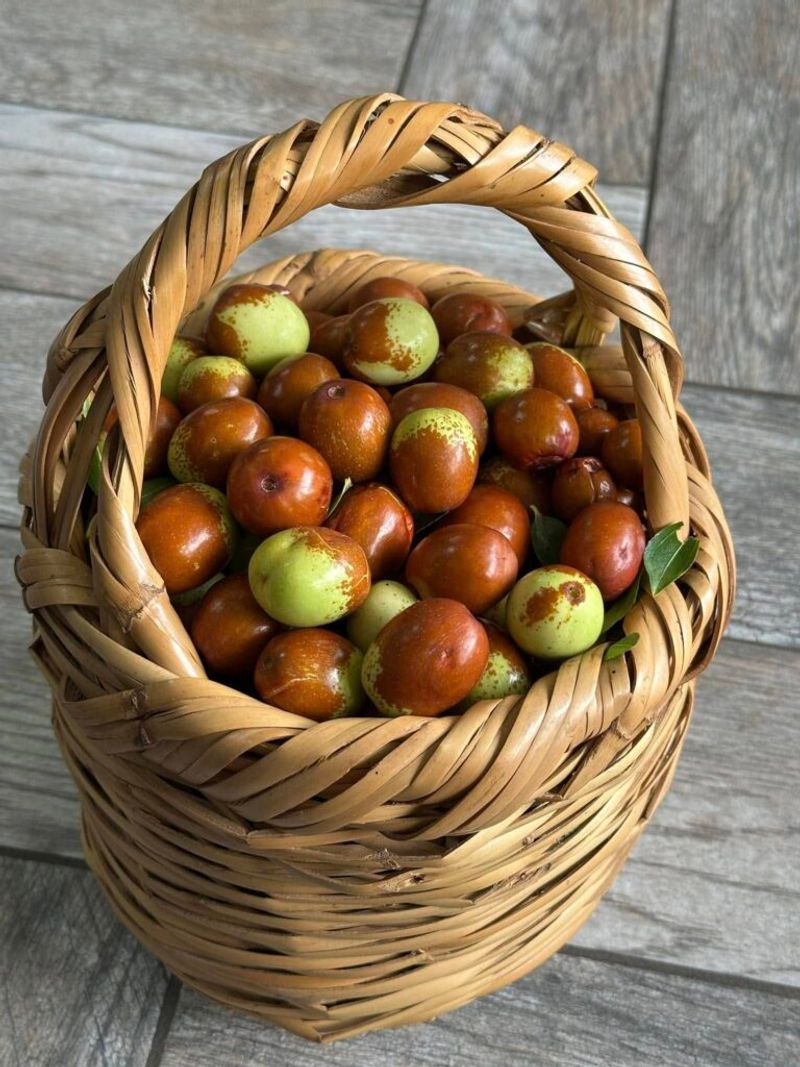 Expect to pick fruit over several weeks Expect to pick fruit over several weeks