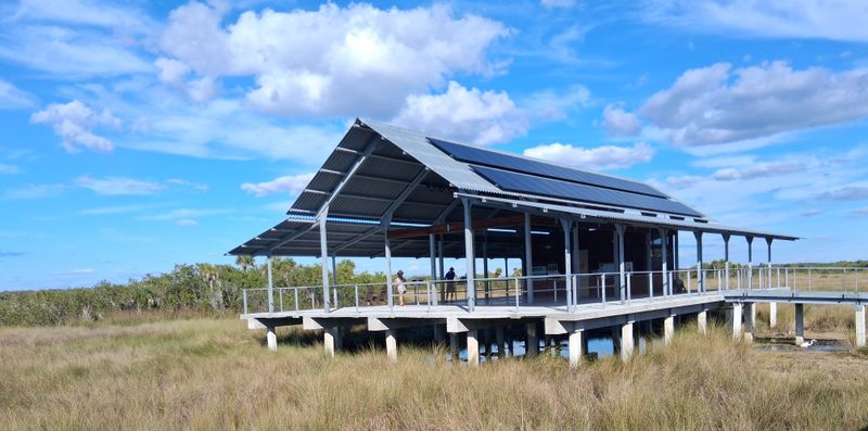 Fakahatchee opens a window onto the swamp, not a guaranteed sighting
