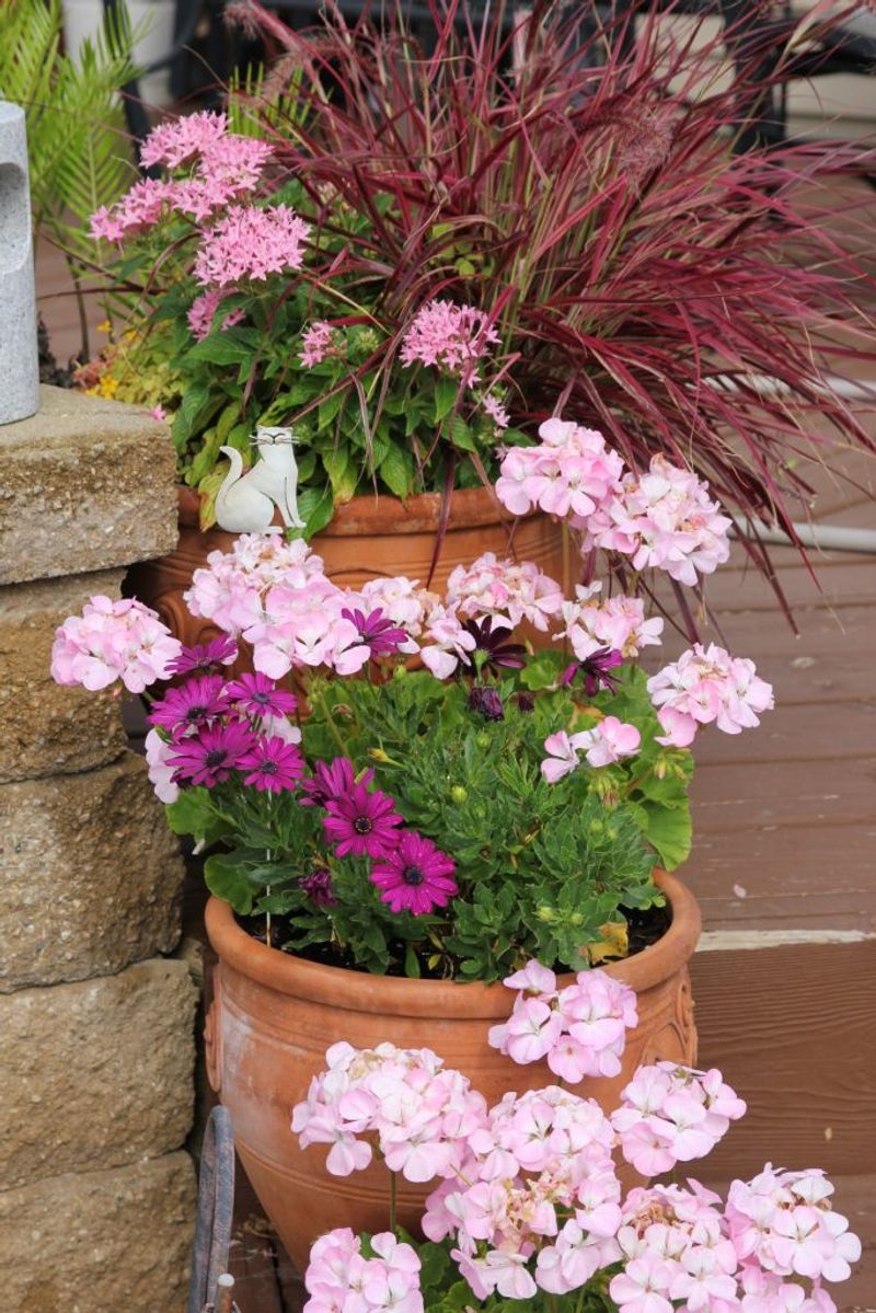 Fall care depends on where the pot is growing