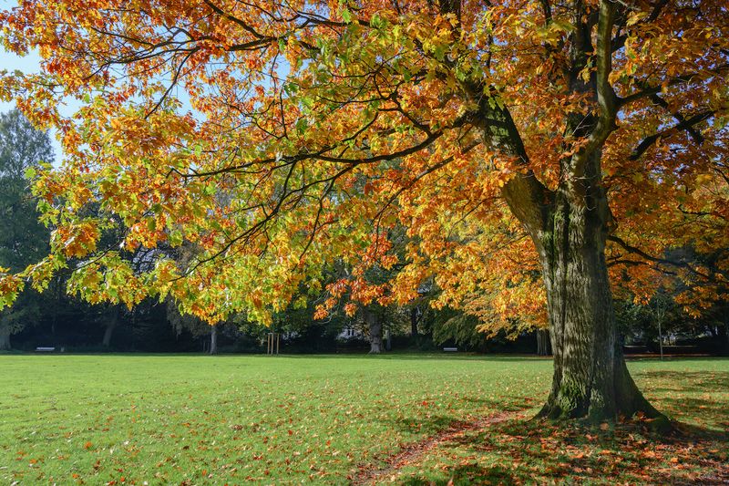 Fall is a strong window, with regional timing differences