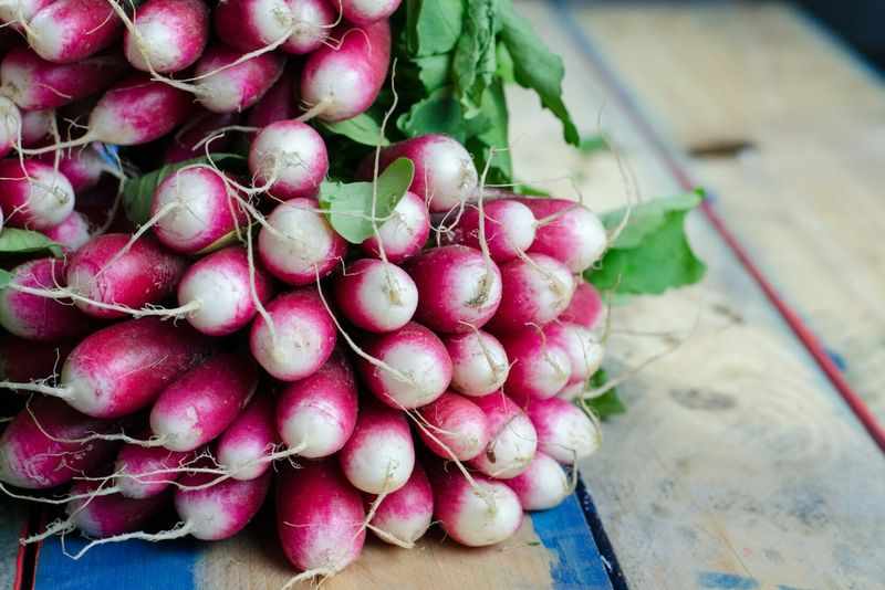 Fall planting dates depend on where you garden