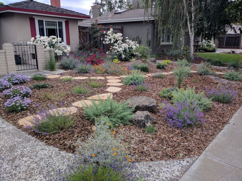 Fall planting gives a California native time to establish