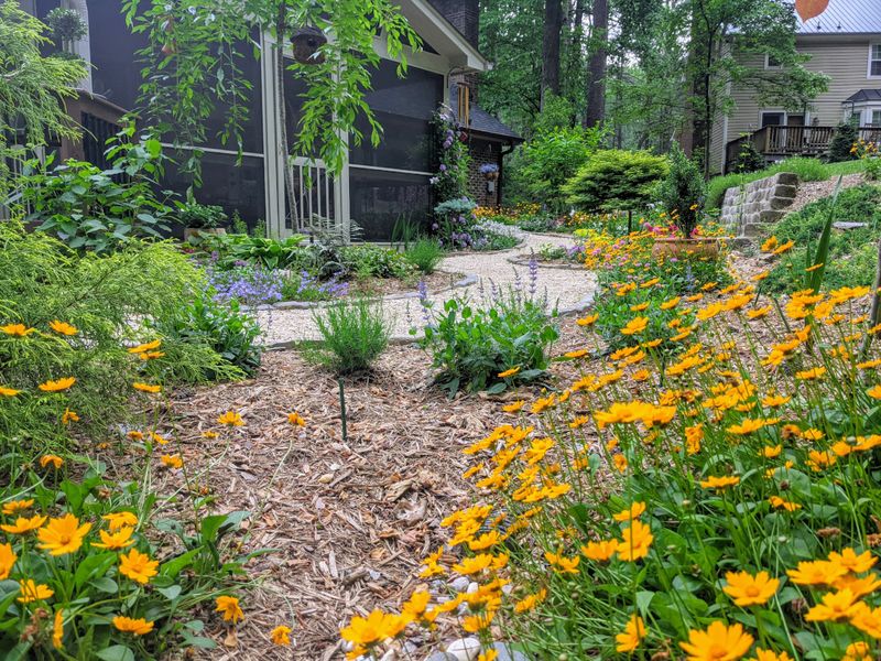 Fall planting prepares the bed for future seasons