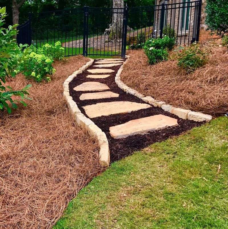 Fallen pine needles can be useful mulch