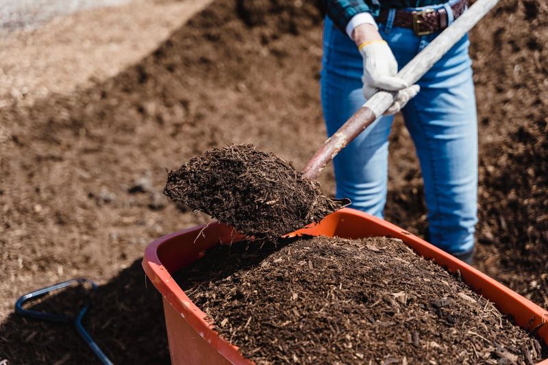 Feed the Soil, Not the Leaves Feed the Soil, Not the Leaves