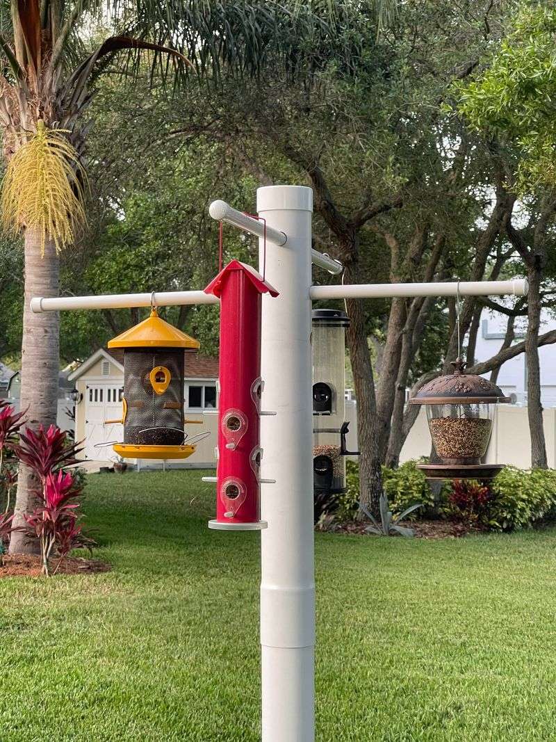 Feeders, pet food, and waste can leave food accessible Feeders, pet food, and waste can leave food accessible