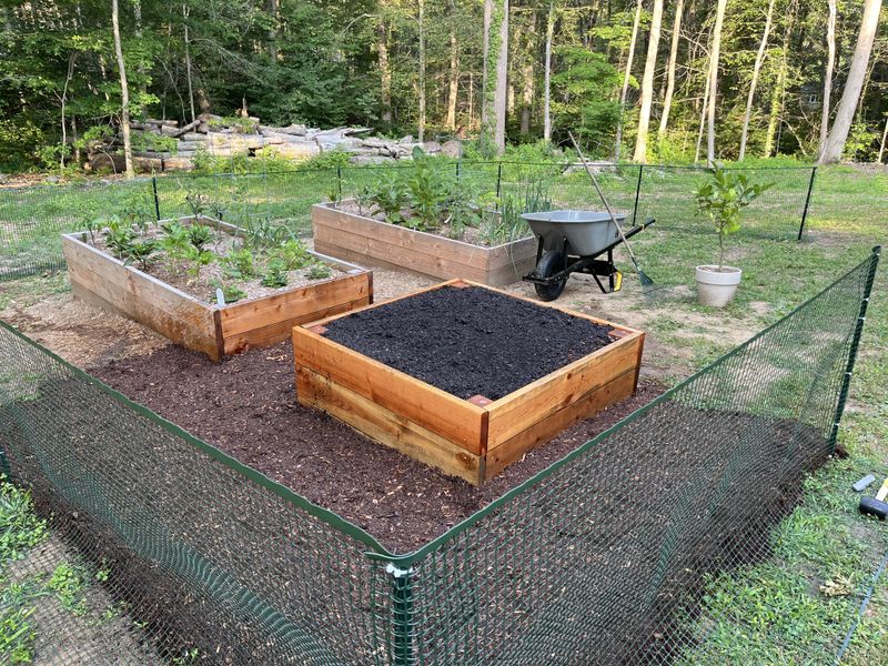 Fencing protects beds, while fallen fruit adds another draw Fencing protects beds, while fallen fruit adds another draw
