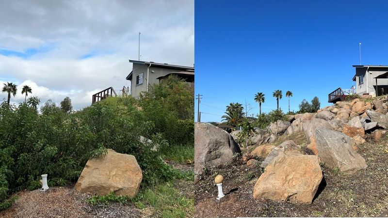 Fire safety comes before habitat retention
