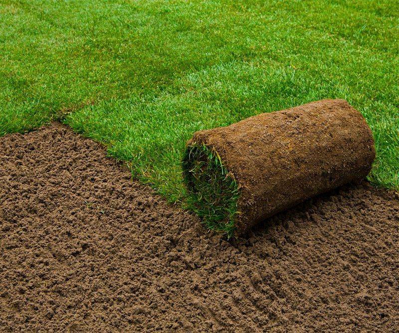 First, make sure your grass can be seeded