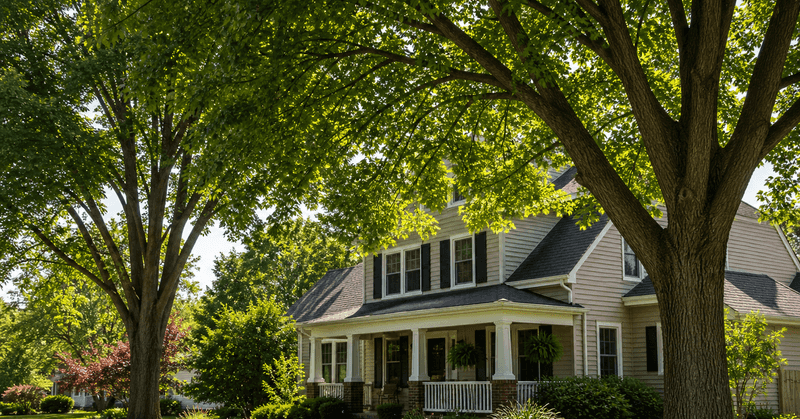 First-year shade is possible, not guaranteed
