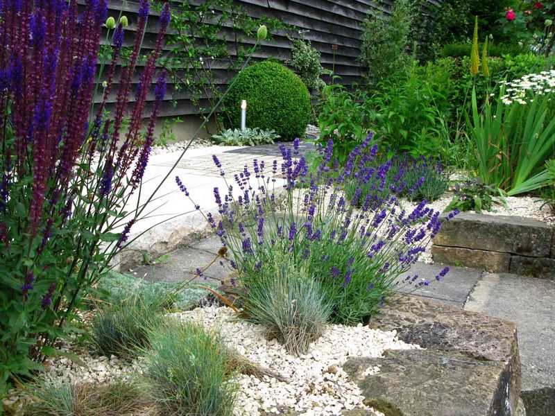 Fix Drainage with Gravel Mulch, Not Wet Bark