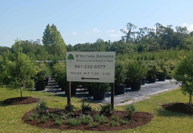 Florida Association of Native Nurseries Directory