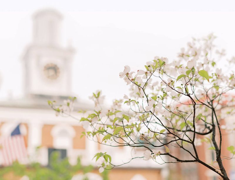 Flower buds form before fall, but watering does not shield them