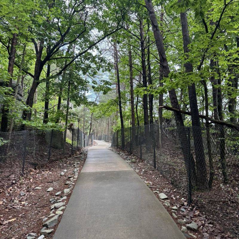 Focus on the places where people meet the wooded edge Focus on the places where people meet the wooded edge