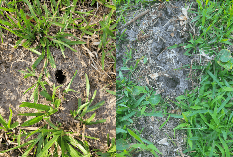 For persistent damage, trap a confirmed active runway For persistent damage, trap a confirmed active runway
