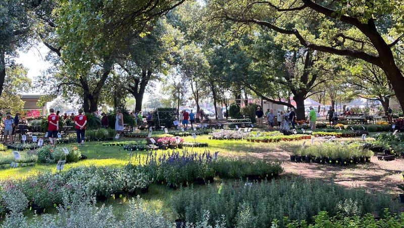 Fort Worth Botanic Garden Fall Sale
