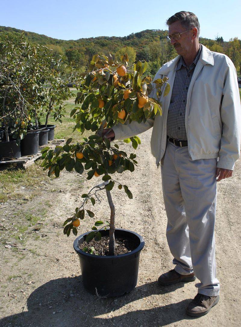 Four Winds Growers Retail Partners