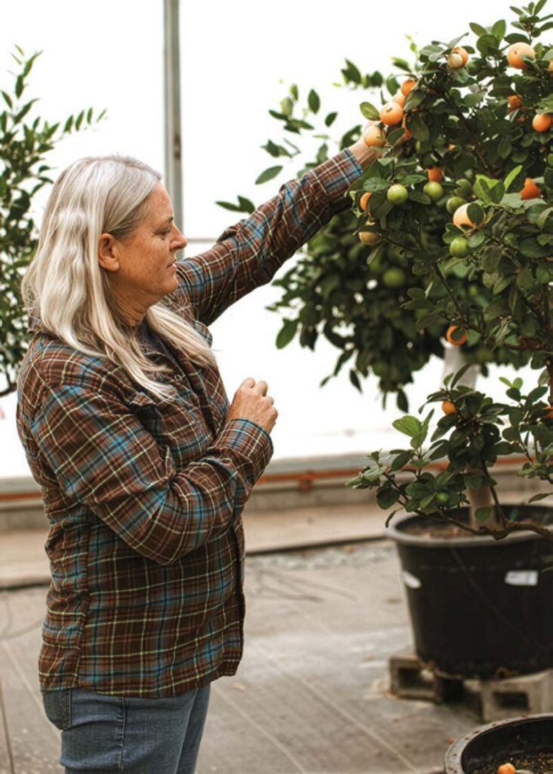 Four Winds Growers
