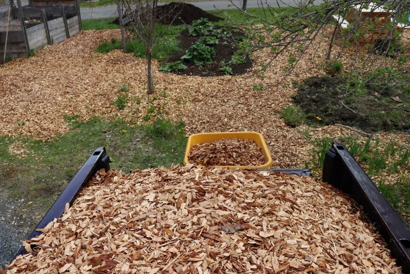 Fresh Wood Chips Mixed Into the Soil