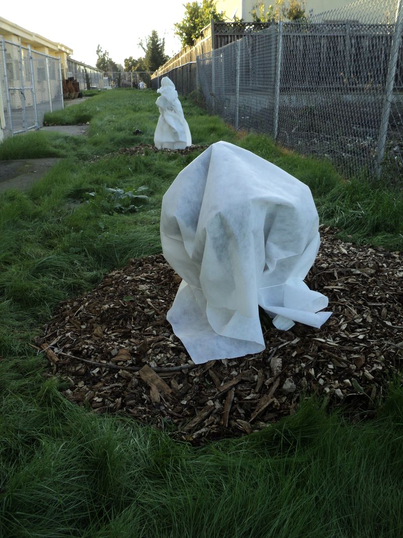 Frost Cloth Ready to Go