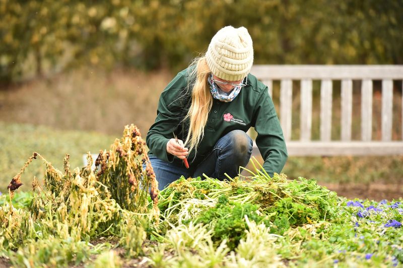 Frost dates offer context, not a cutoff