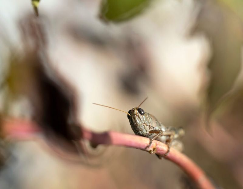 Get an identification before deciding whether to act