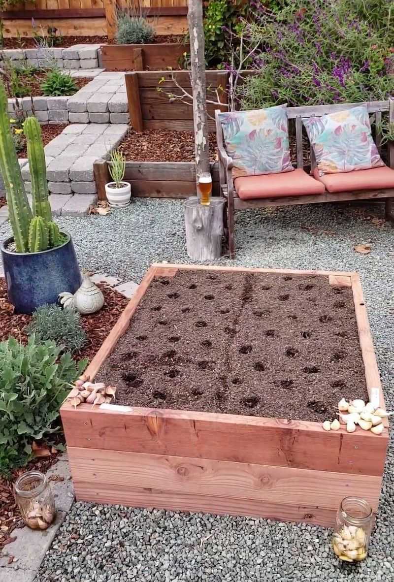 Give garlic sun, drainage, and room Give garlic sun, drainage, and room