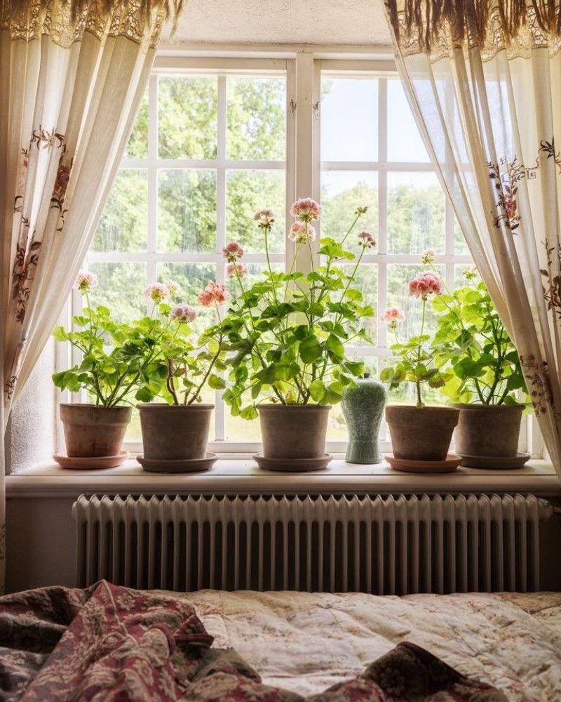 Give it bright light and prune only if needed