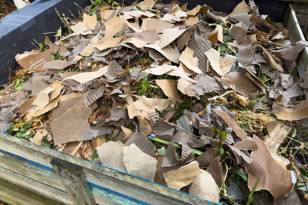 Glossy Paper and Coated Cardboard Glossy Paper and Coated Cardboard