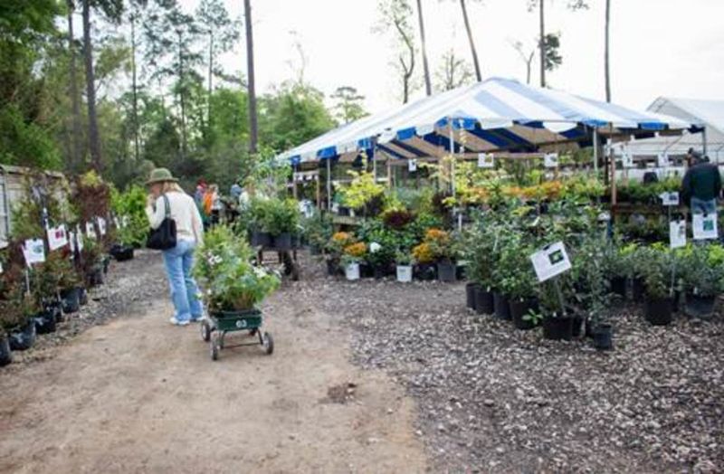 Gulf Coast Native Plant Sale at Mercer Botanic Gardens, Humble