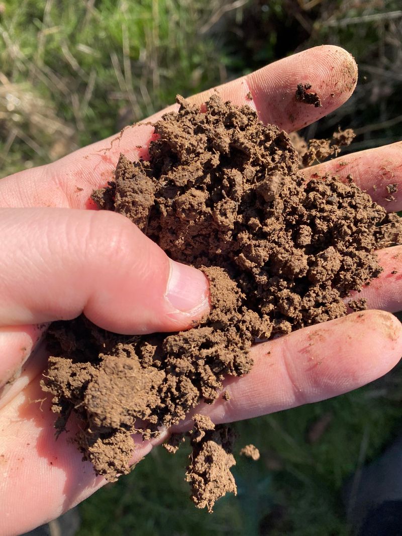 Gypsum as a Cure-All