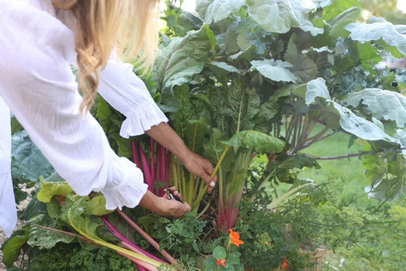 Harvest from the outside in