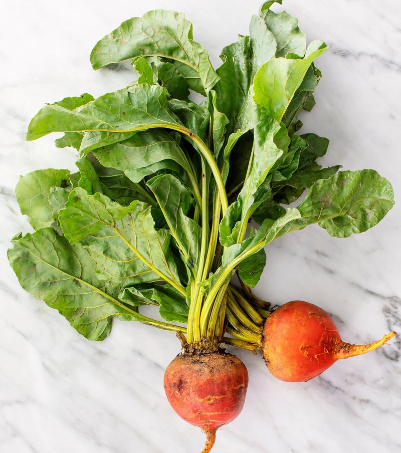 Harvest usable roots and greens this season Harvest usable roots and greens this season