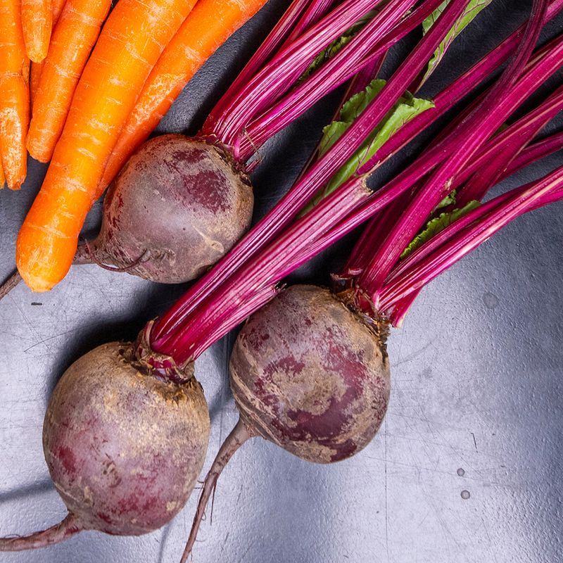 Heat, soil, water, and light can also limit root growth