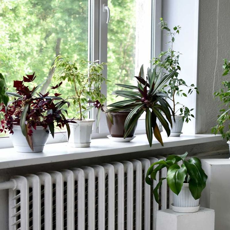 Heating-season air can add stress