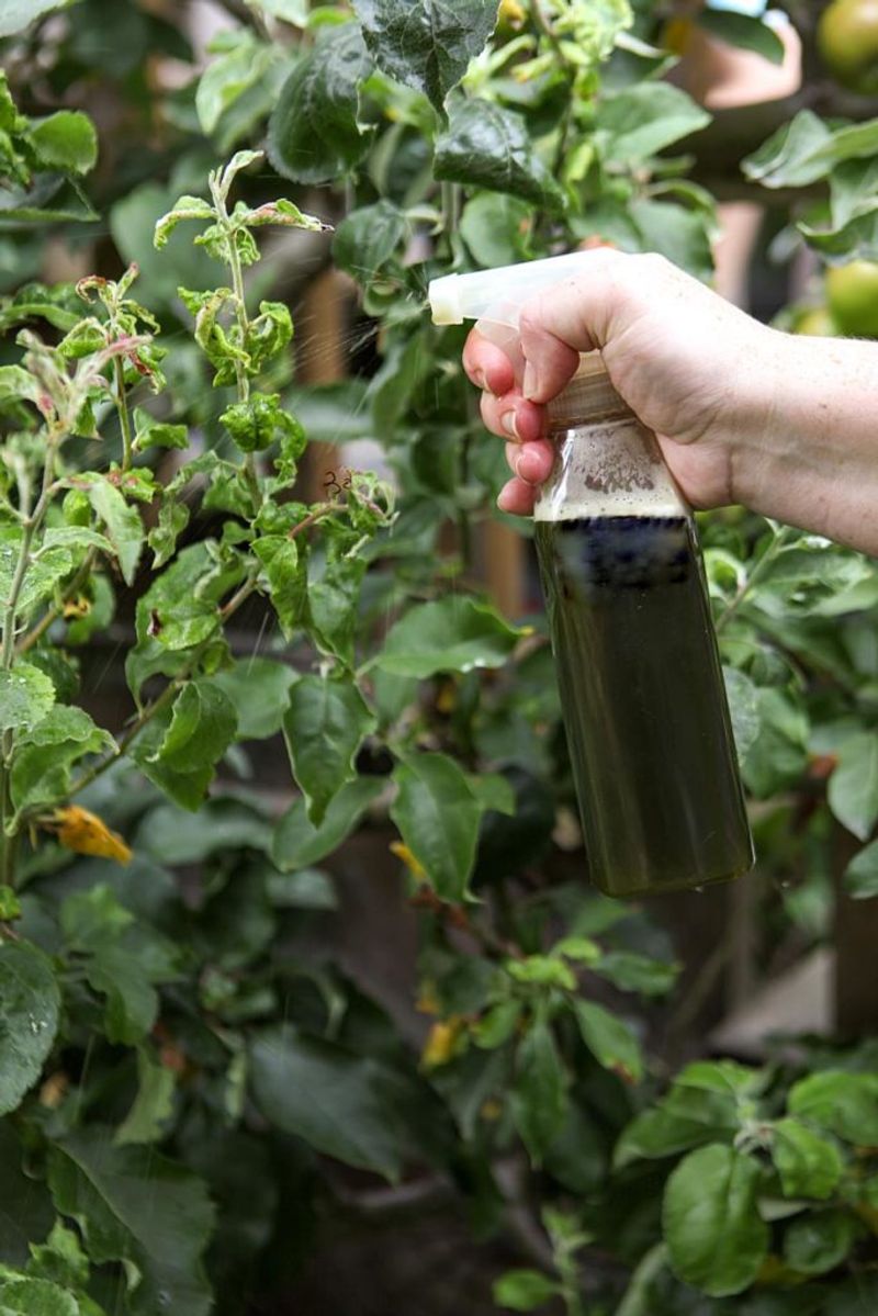 Household mixtures can injure garden plants