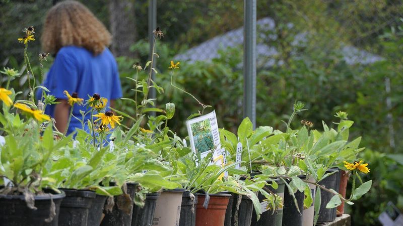 Houston Arboretum and Nature Center Sale