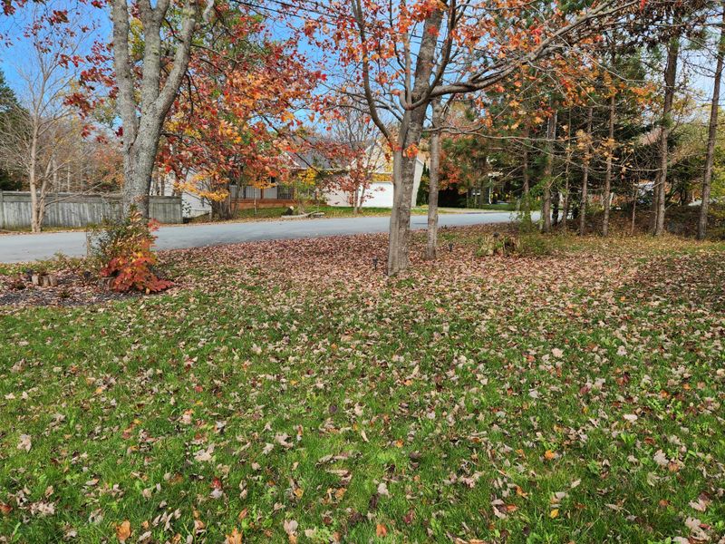 How much leaf cover can stay?