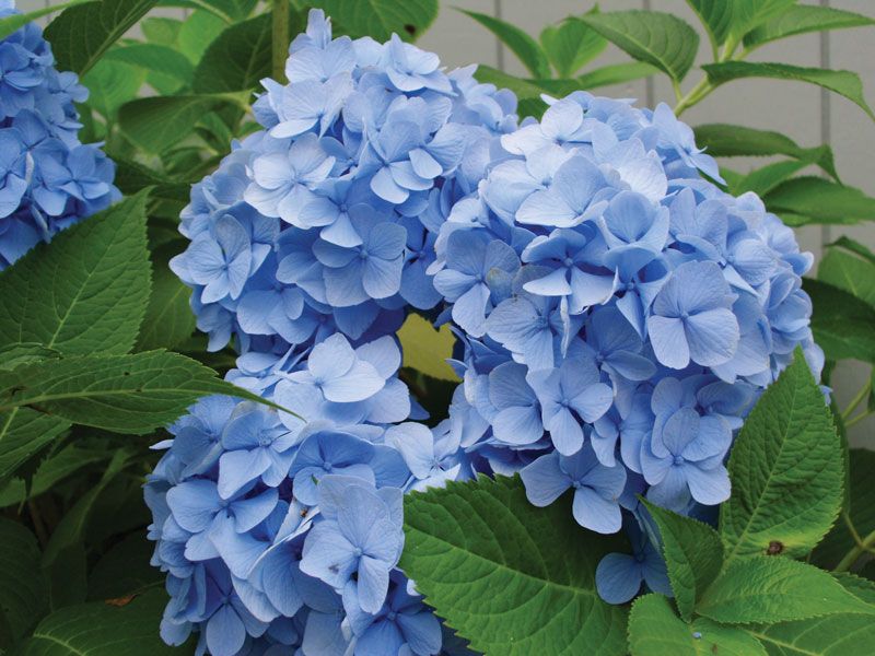 Identify the Type Before You Prune Identify the Type Before You Prune