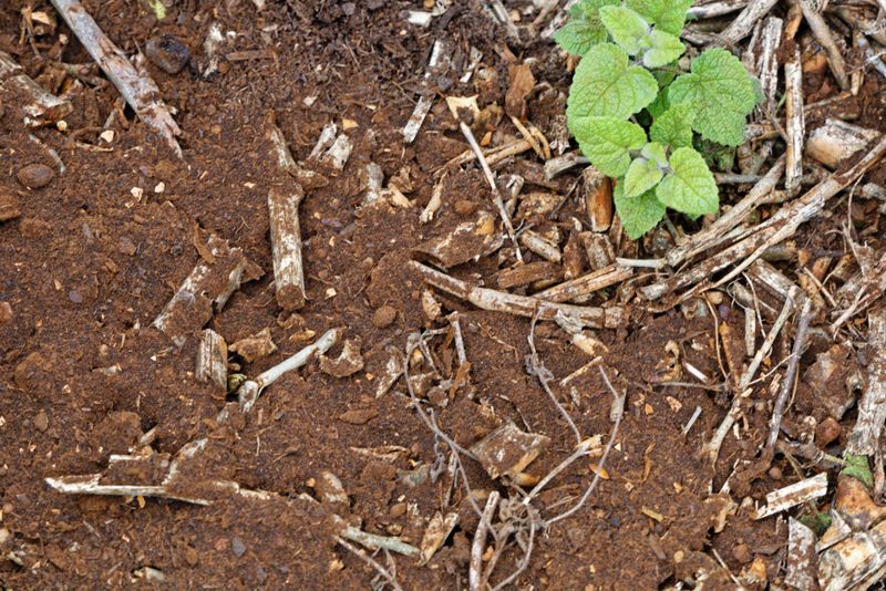 If grounds go on the surface, keep them thin and covered