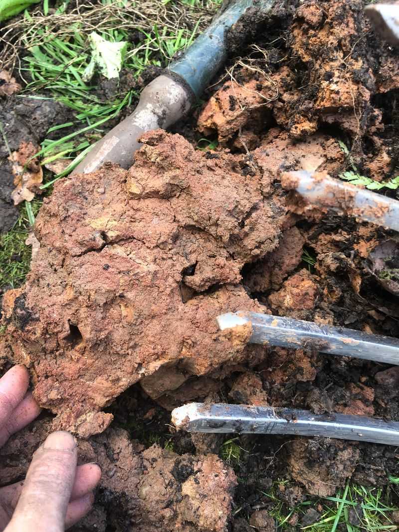 Improve structure only when the clay is workable